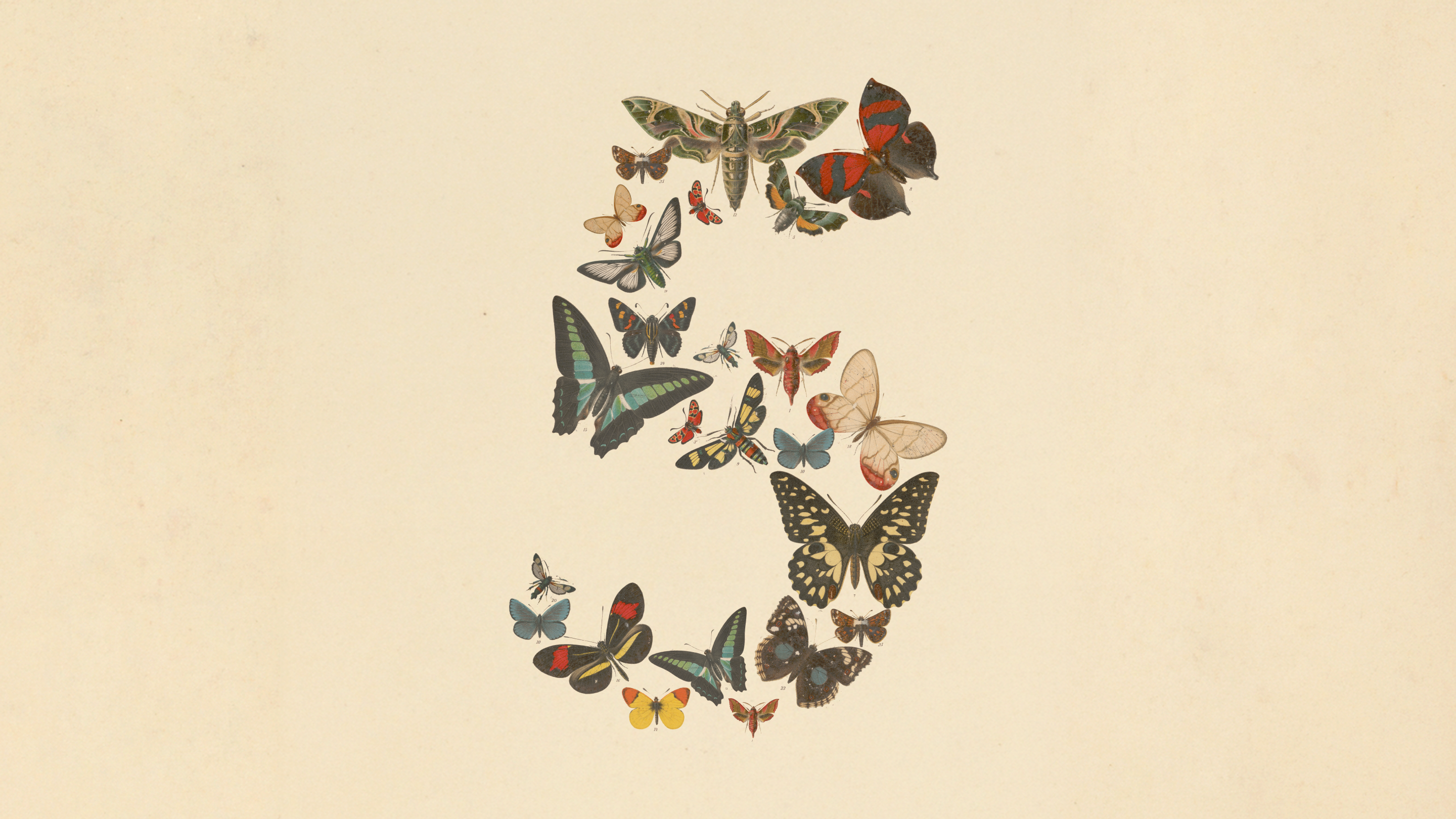 Claude Fable 5